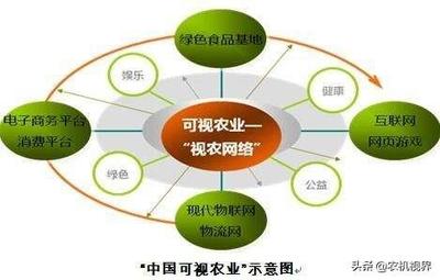 请把你对“数字农业、智慧农业、信任农业、认养农业、可视农业”的认知分享给大家?